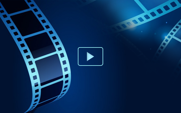 Món ăn mới mực, thịt heo xào hoa thiên lý, cà rốt, hành tây...